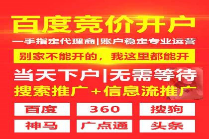 百度竞价包年服务：某行业领导品牌的成功故事